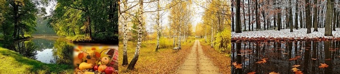 А у осени три сына