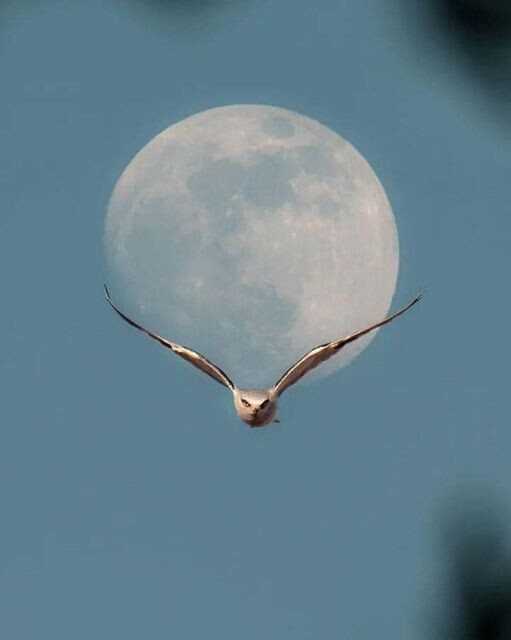 Мой новый день