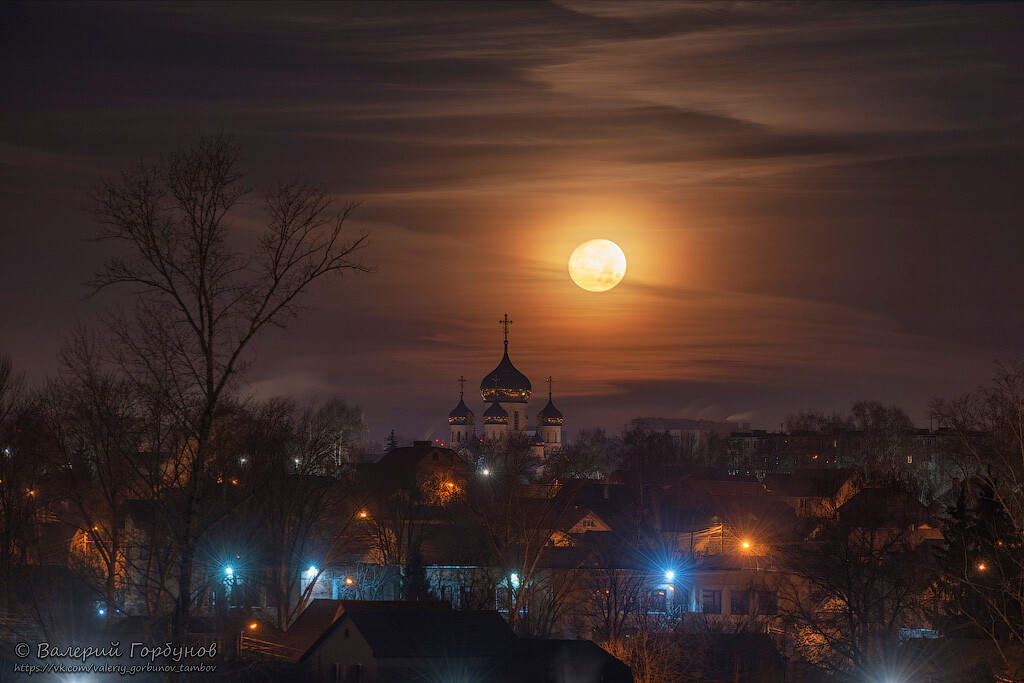 Знаешь, ночью протяжно мерцали высокие звёзды...