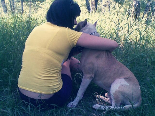 Самый лучший пес...