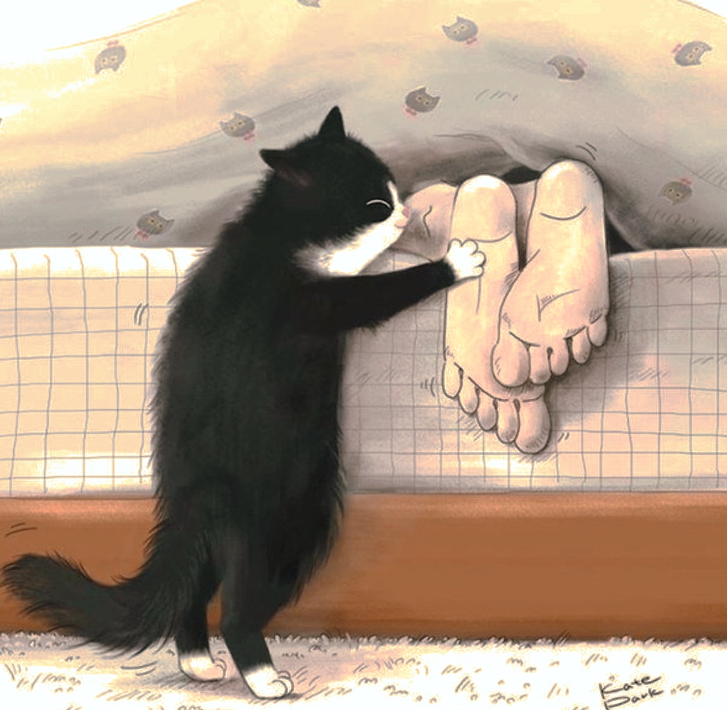 Кошачье доброе утро