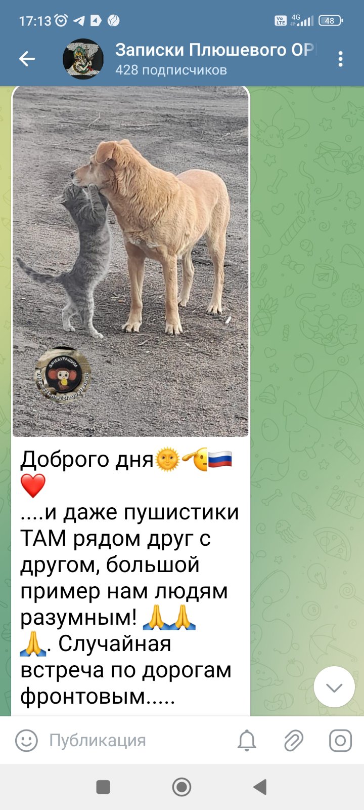 Неожиданная встреча