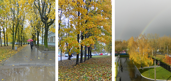 19 октября 2023 года