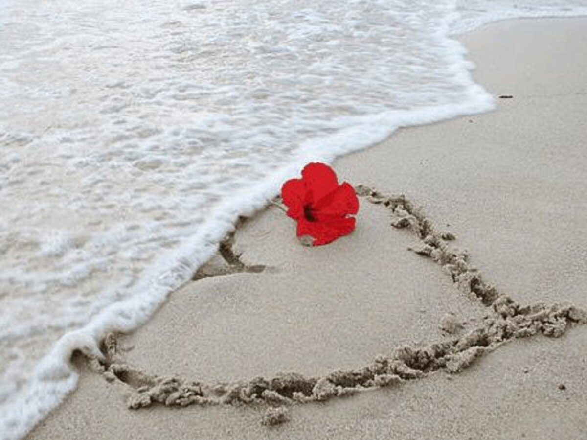 Самохарактеристика Любви