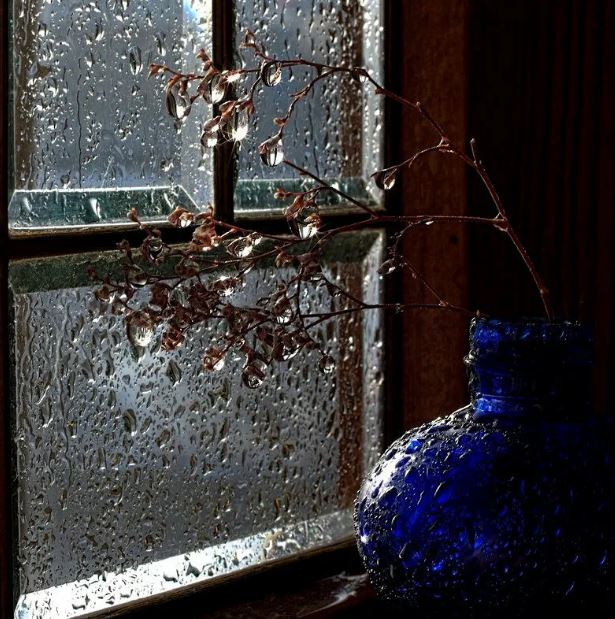 Лил сильный дождь