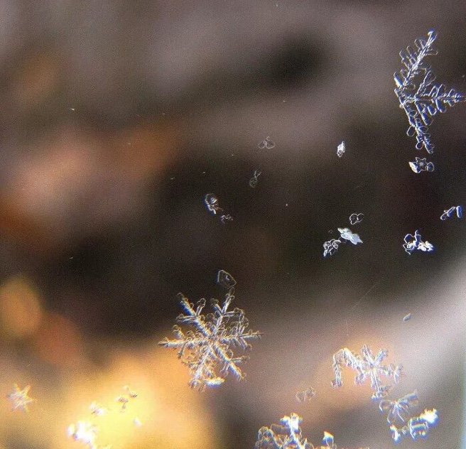 Первая проба