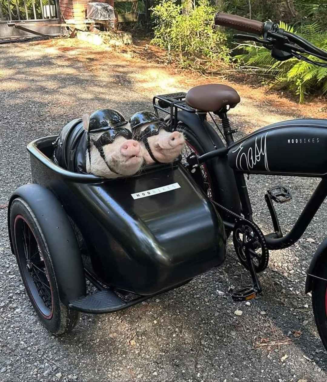 Три веселых поросят