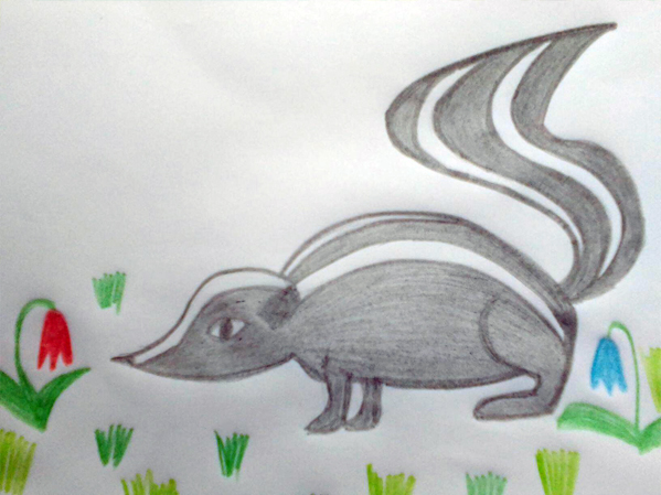 Живёт в селе скунс