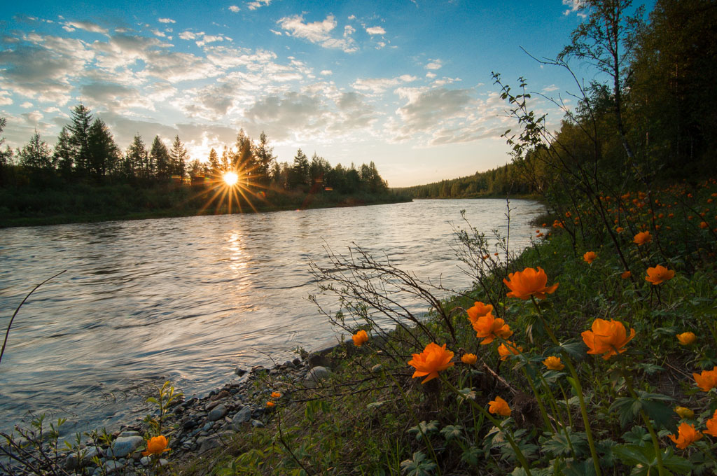 Лучшее время вечер лета. Сибирская природа жарки река. Жарки в Северо-Енисейской тайге. Летний закат на реке. Вечерний весенний пейзаж.