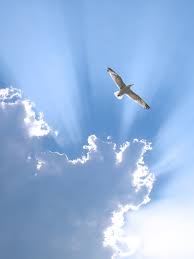 Как много мудрости в молчанье...