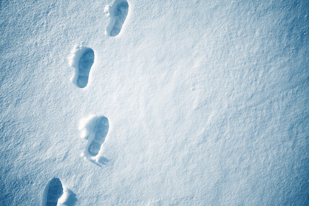 Свежесть следа. Следы на снегу. Следы человека на снегу. Шаги на снегу. Следы на снегу для детей.