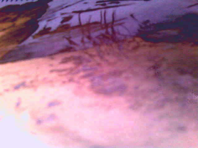 Еще искрит заиндевелый луг,