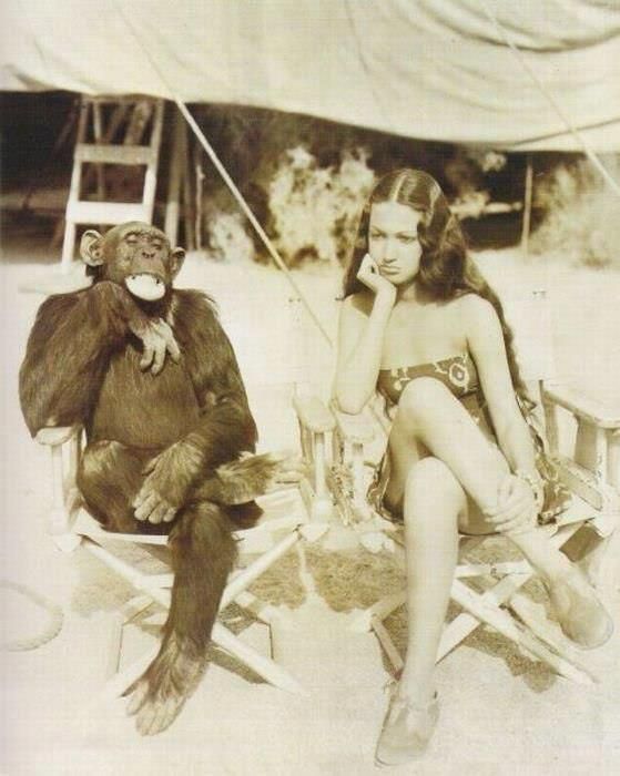 Сижу с девицей на пляжу. Комментарий к иллюстрации