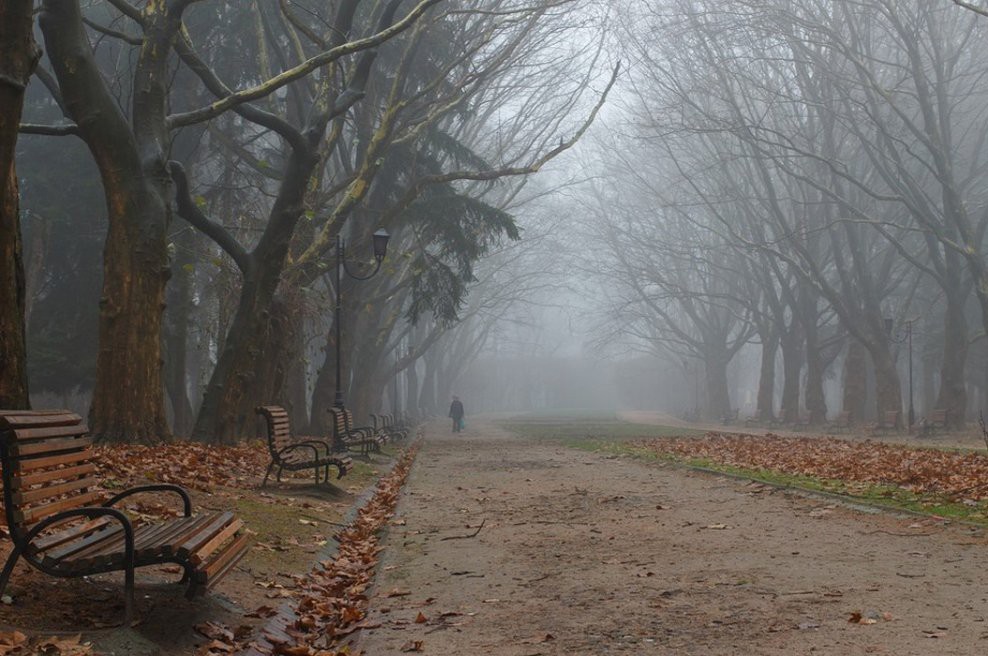 Наша Осень повзрослела