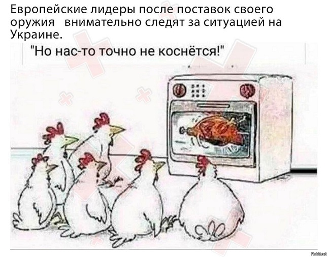 Микроволновка и политика