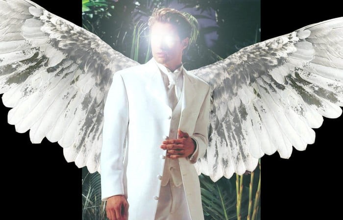 Ангелы тоже линяют