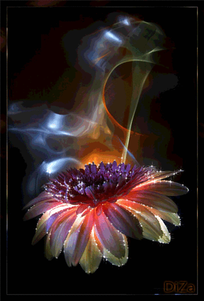 Мир, в котором мы живём...