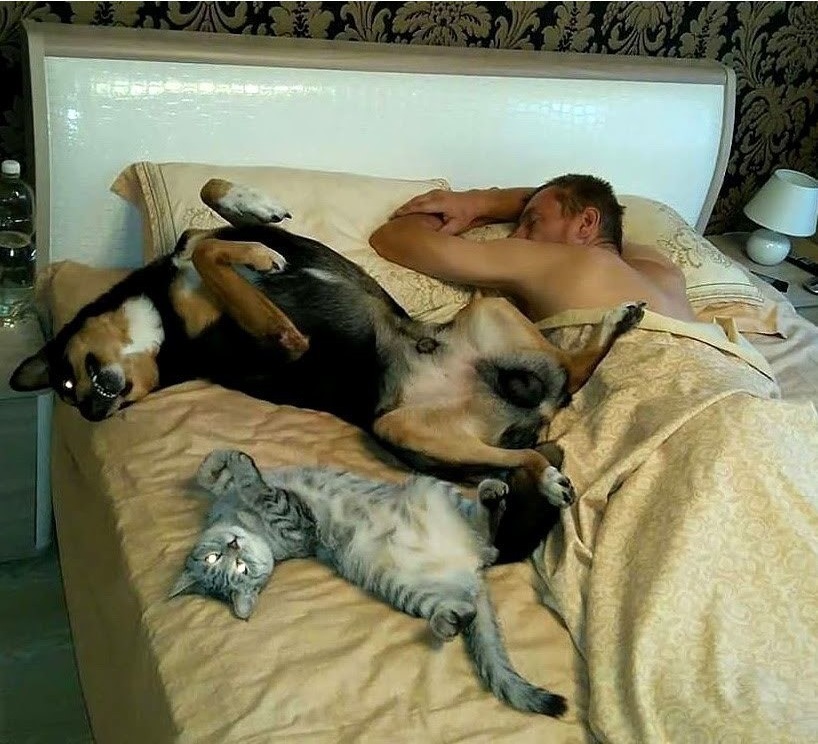 Октябрь -ский СОН -ник с бодуна!