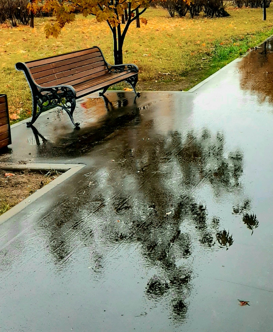 Здравствуй, утро