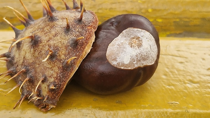 И Луна улыбнётся счастливой улыбкой с высот!