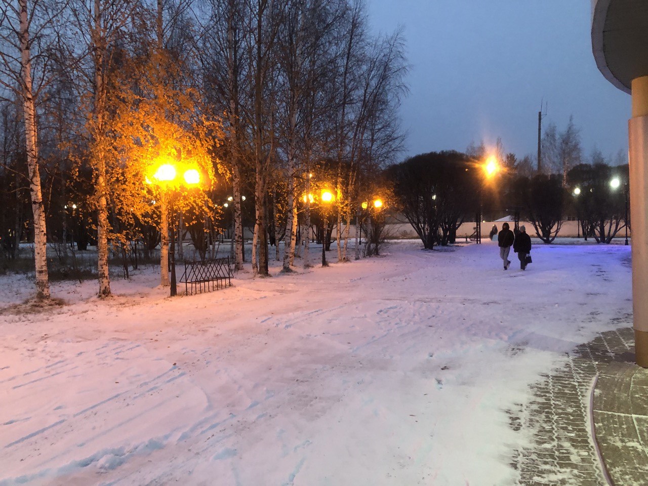 Моя Югра прекрасный зимний сад
