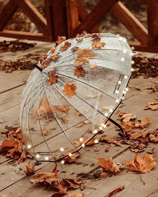 Снова осень, на год повзрослевшая