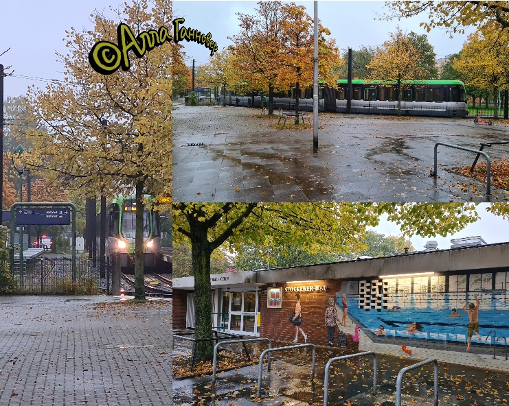 Частушки-дождюшки