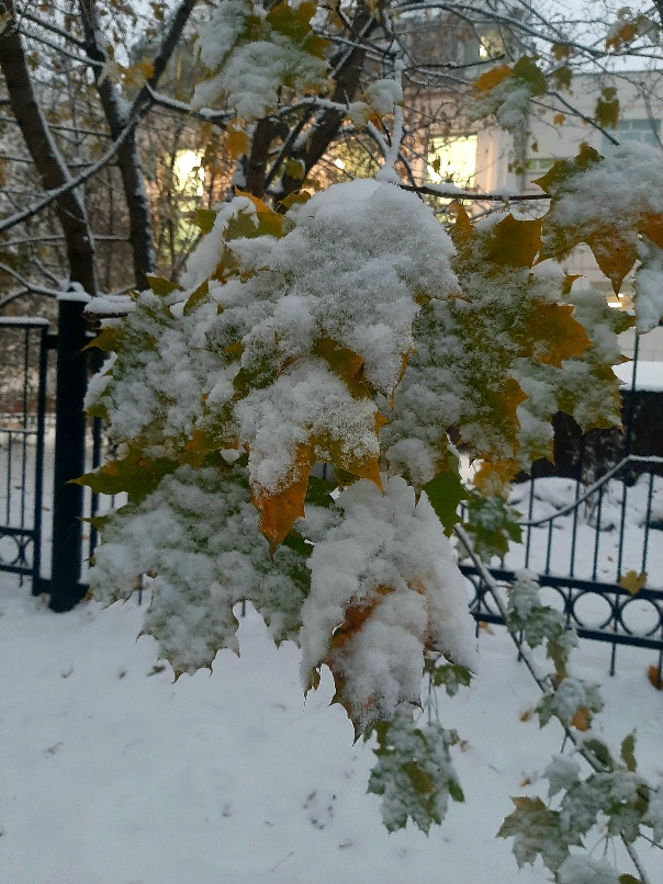 Москва от зимы получила привет
