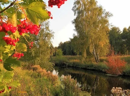 Красками нас радует природа