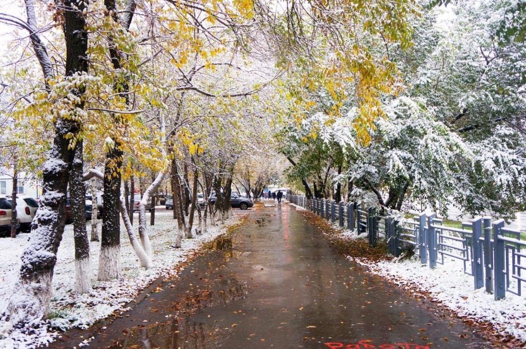 Осень в Сургуте