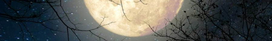 Свет холодной луны...