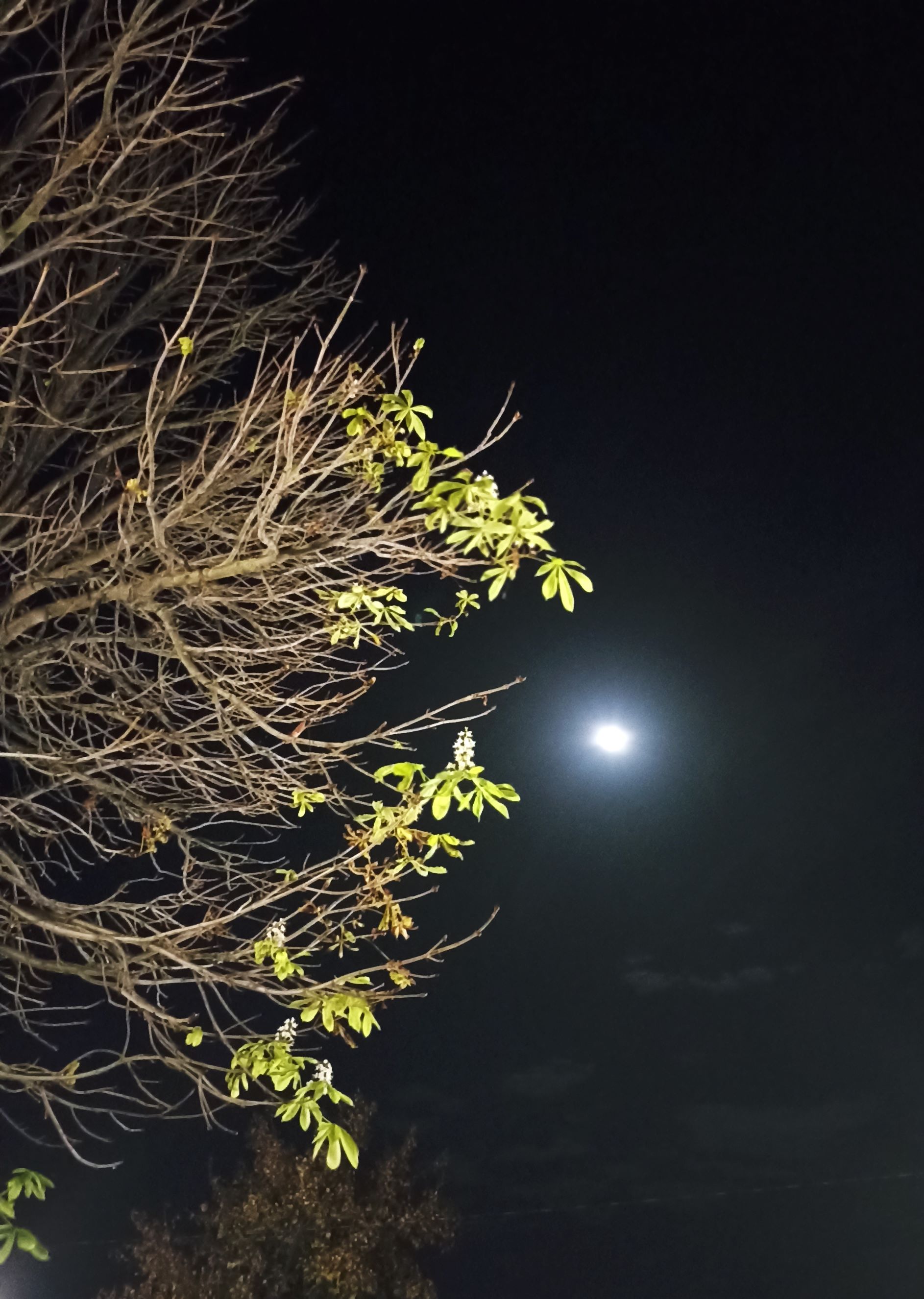 Осеннее чудо