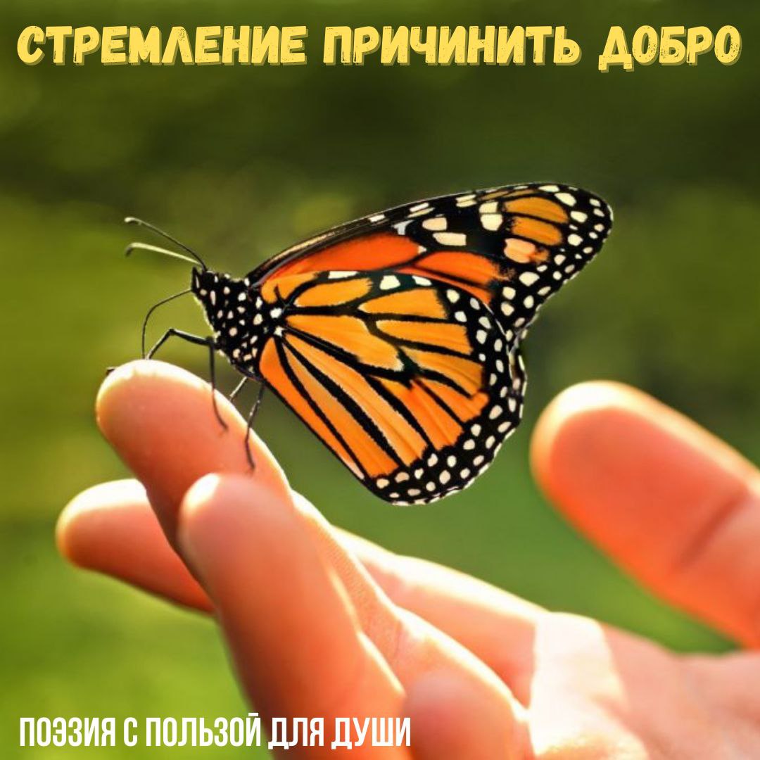 Картинка бабочка на руке