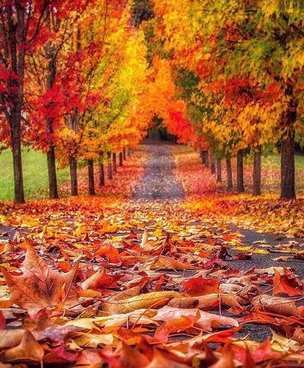 И хочется дождаться