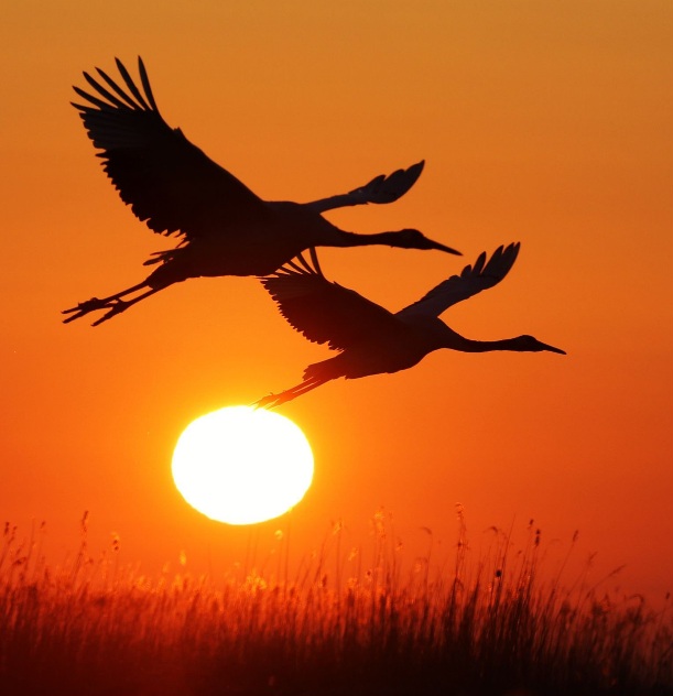 Кружит осень в карнавале