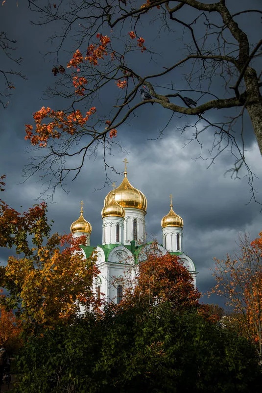 Православные праздники осени 2023, Сергиевский район - дата и место проведения,
