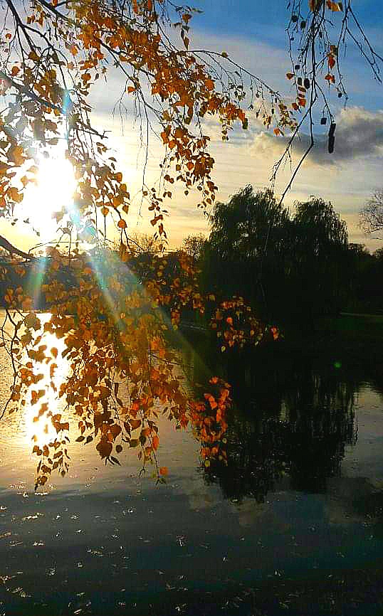 Осенний сплин