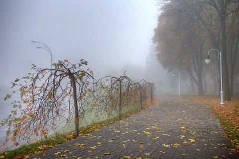 Еще вчера светило солнце