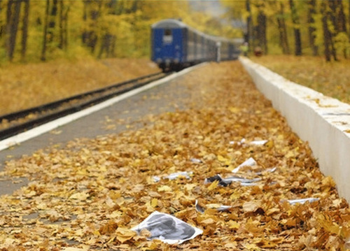 Всё та же осень