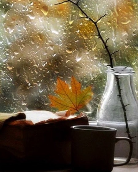 С промокших ветвей...