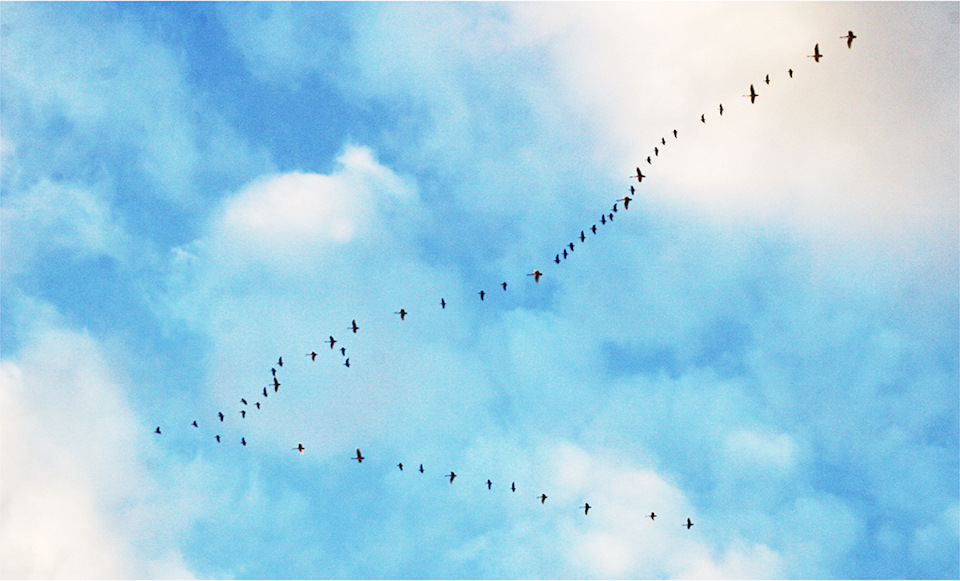 Кайтам эле кабат