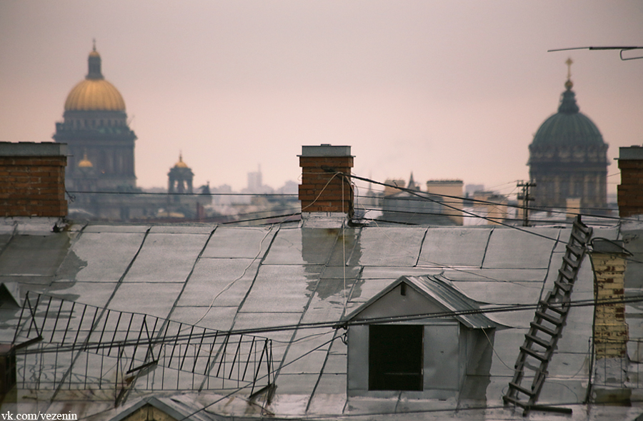 По крышам города стучит. Питерские крыши зимой. Заснеженные крыши Петербурга. Мокрая крыша. Вид с питерских крыш.