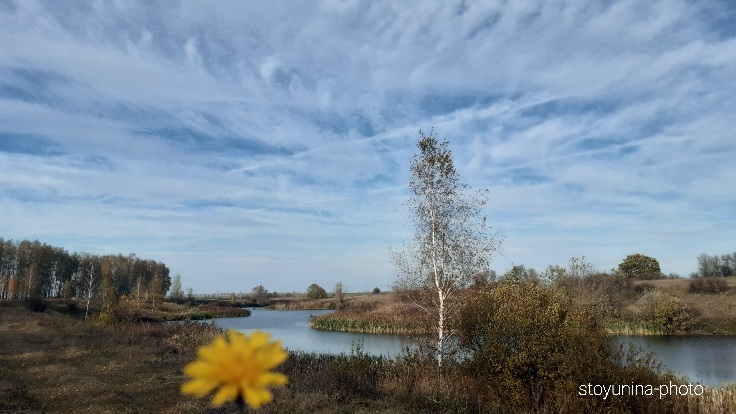 А в кронах весна, как слепок...