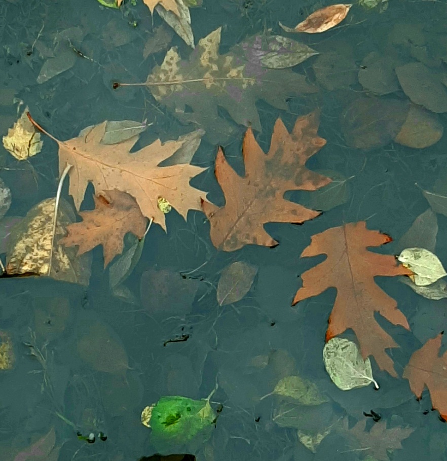 Секретик подо льдом