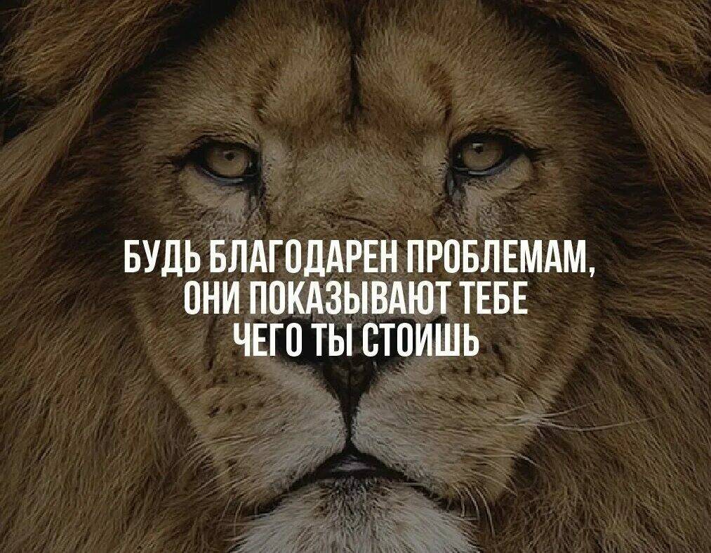 Цитаты про силу