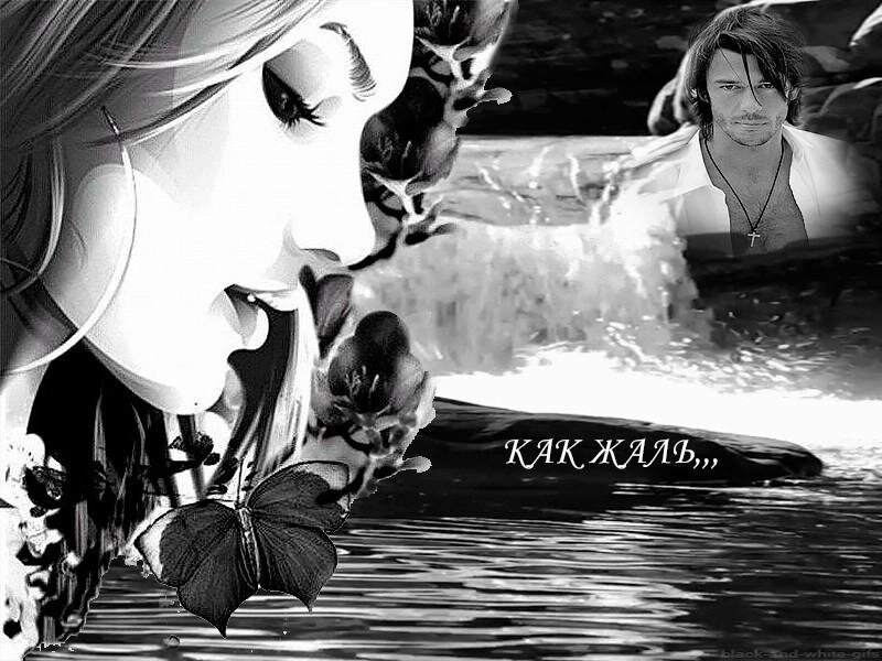 Жаль, милый