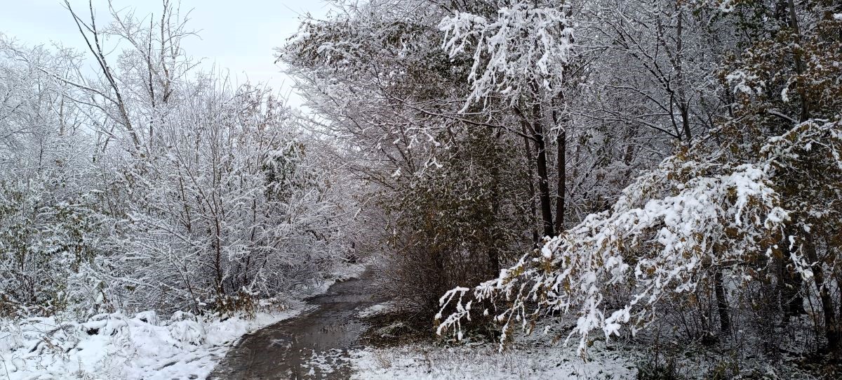 Время сотрёт наши следы с именами