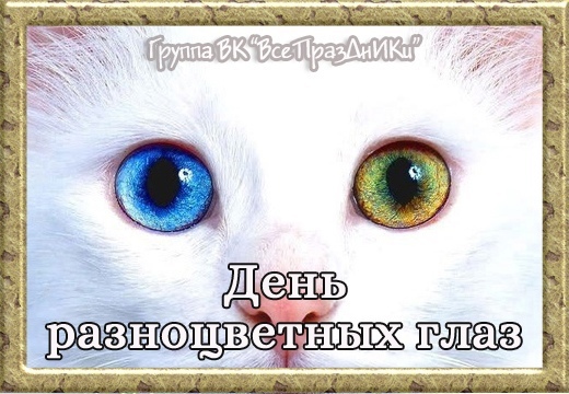 Разноцветные Глаза