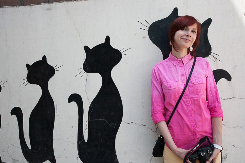 Василёчки-васильки С. Воробьёв Л Кичигина