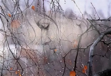 Уходит осень в никуда